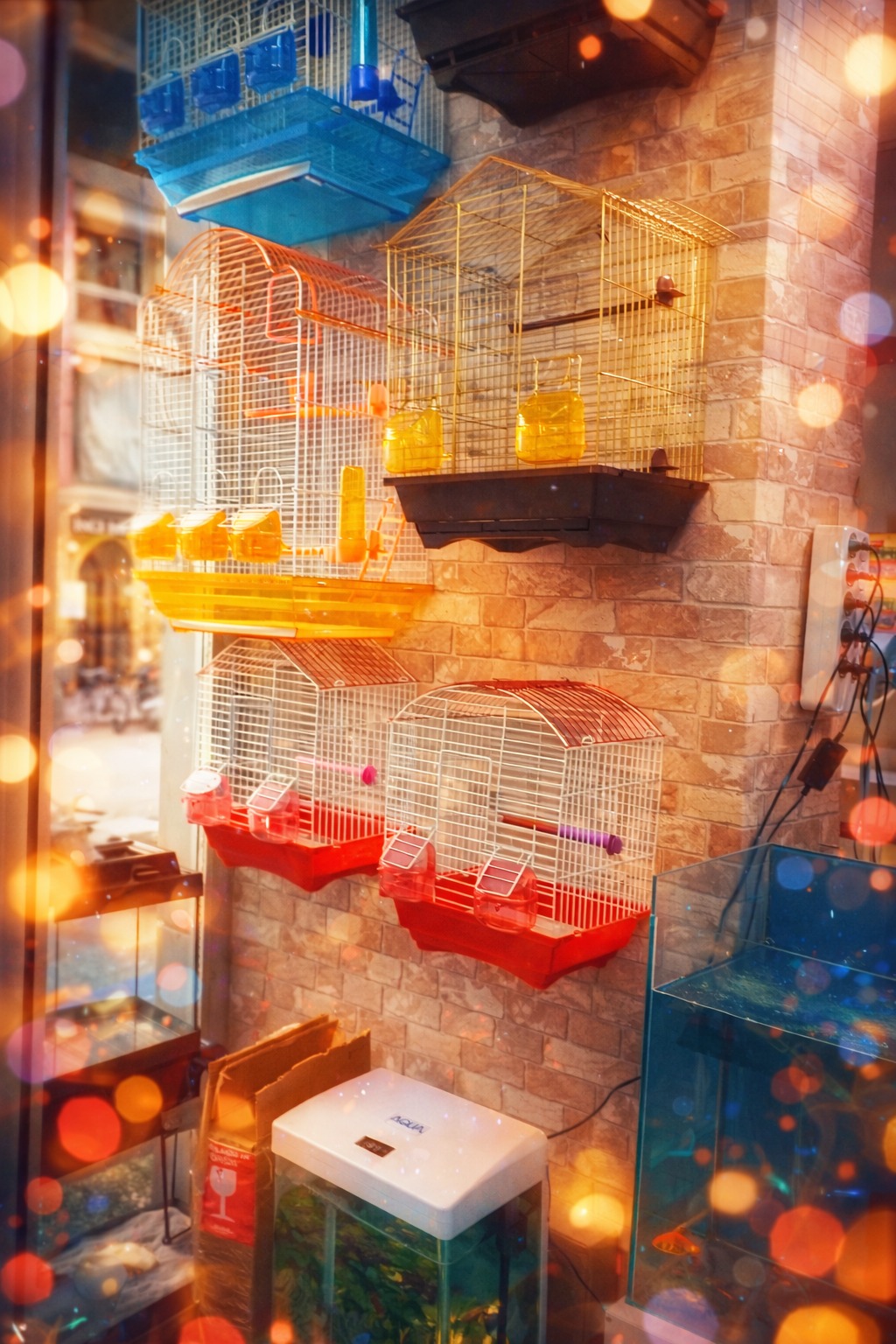 İrsa Petshop galeri görseli 12